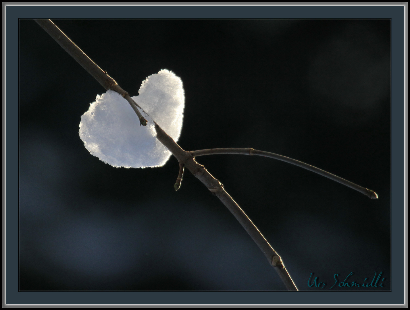 Sonne und Schnee. Herz, was begehrst du mehr?