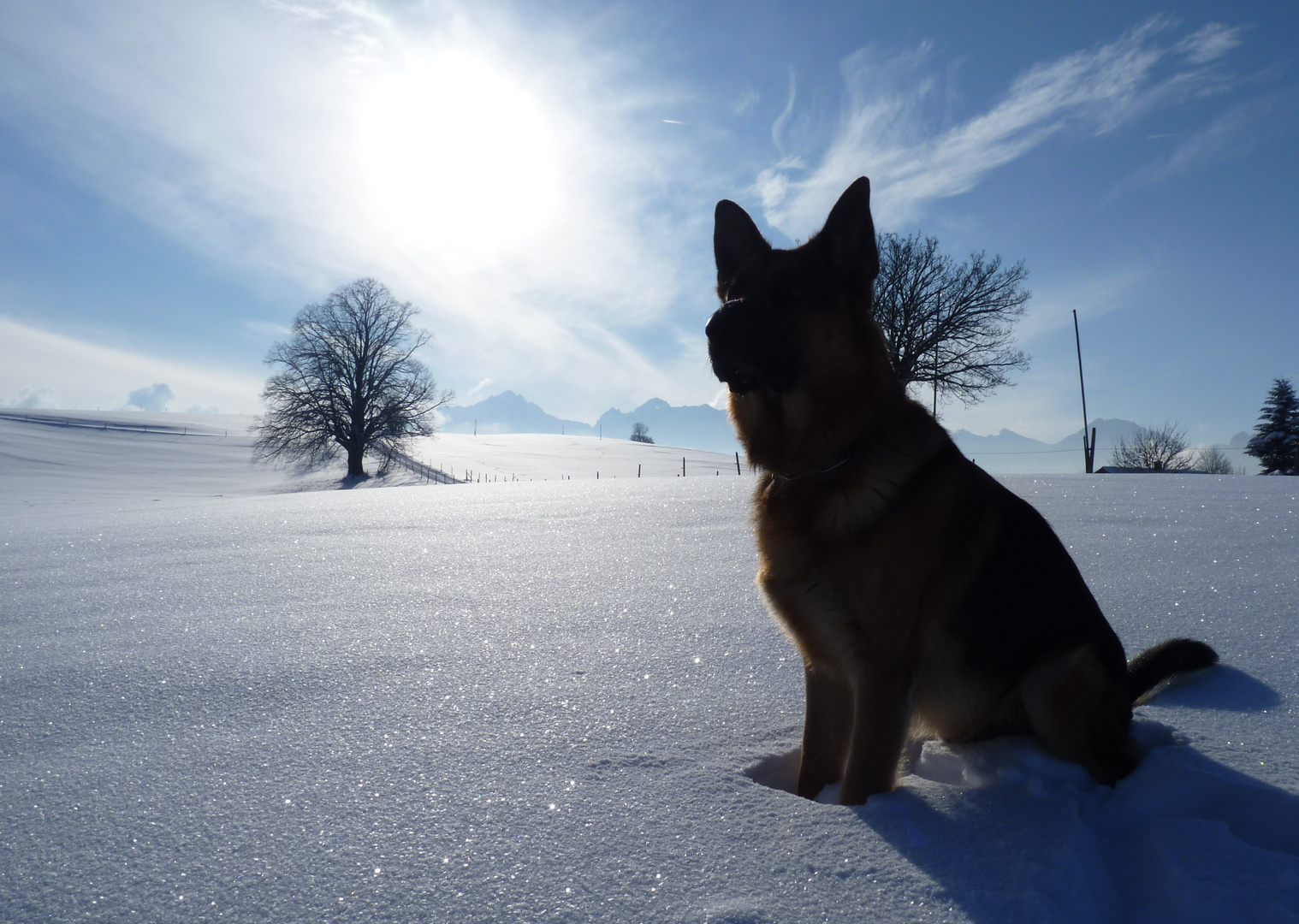 Sonne und Schnee mein Leben