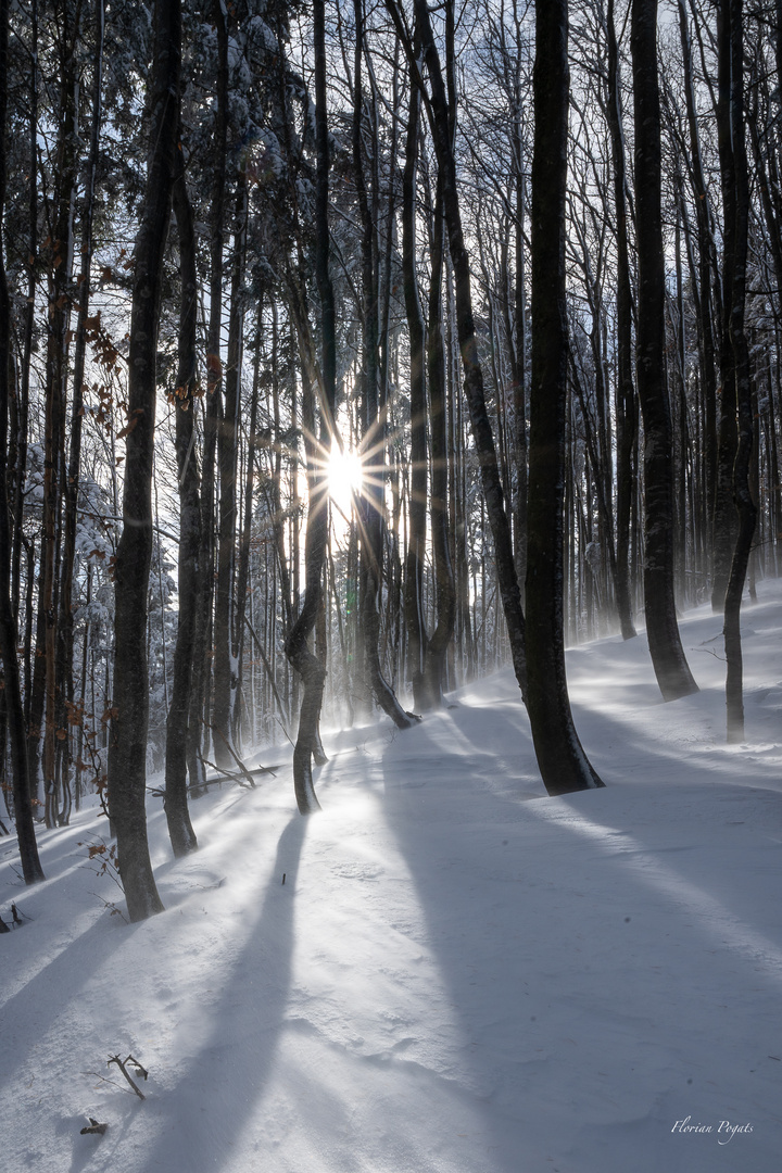 Sonne und Schneesturm