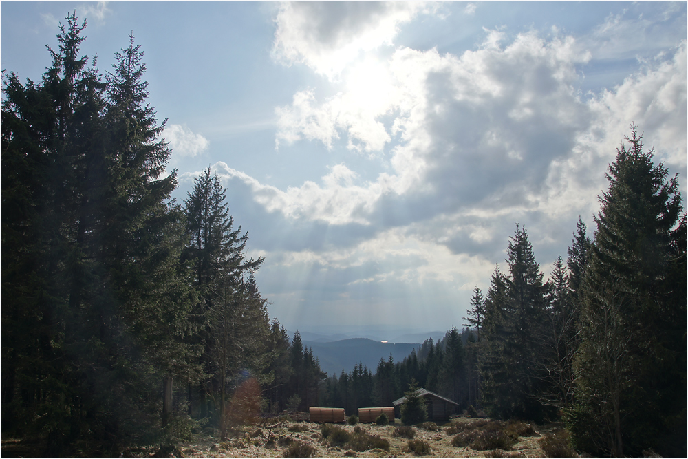 Sonne und Sösestausee