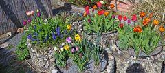 Sonne und stürmischer Wind schon in der Frühe, der am Morgen des 18. 04. 2022...