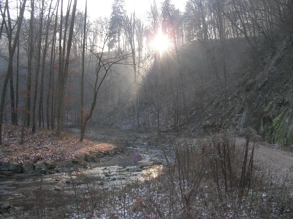 Sonne und Weißeritz