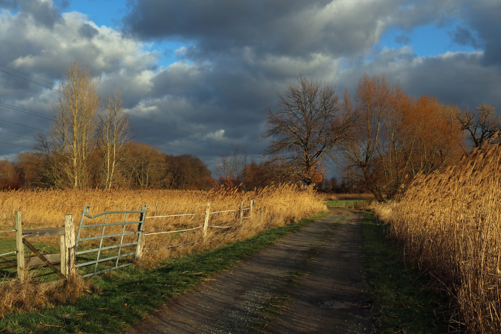 Sonne und Wind 