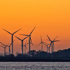 Sonne und Wind - Die Zukunft der nachhaltigen Energiegewinnung?