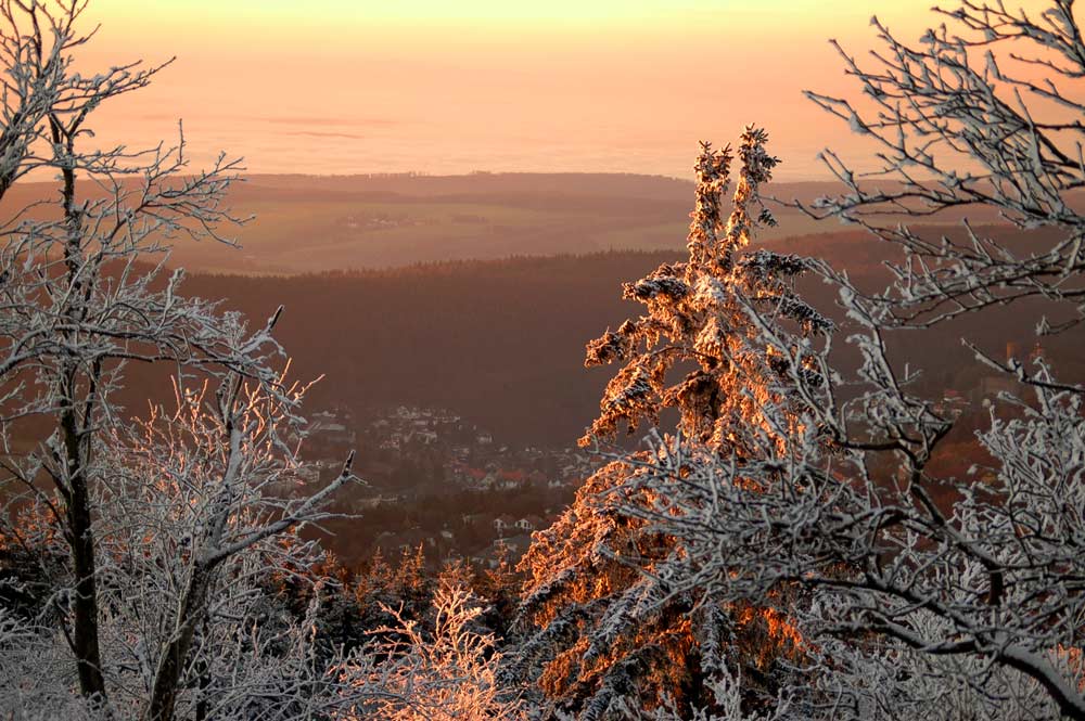 Sonne und Winter