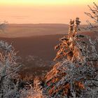 Sonne und Winter