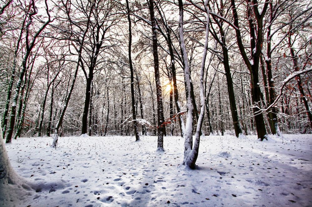 sonne und winter