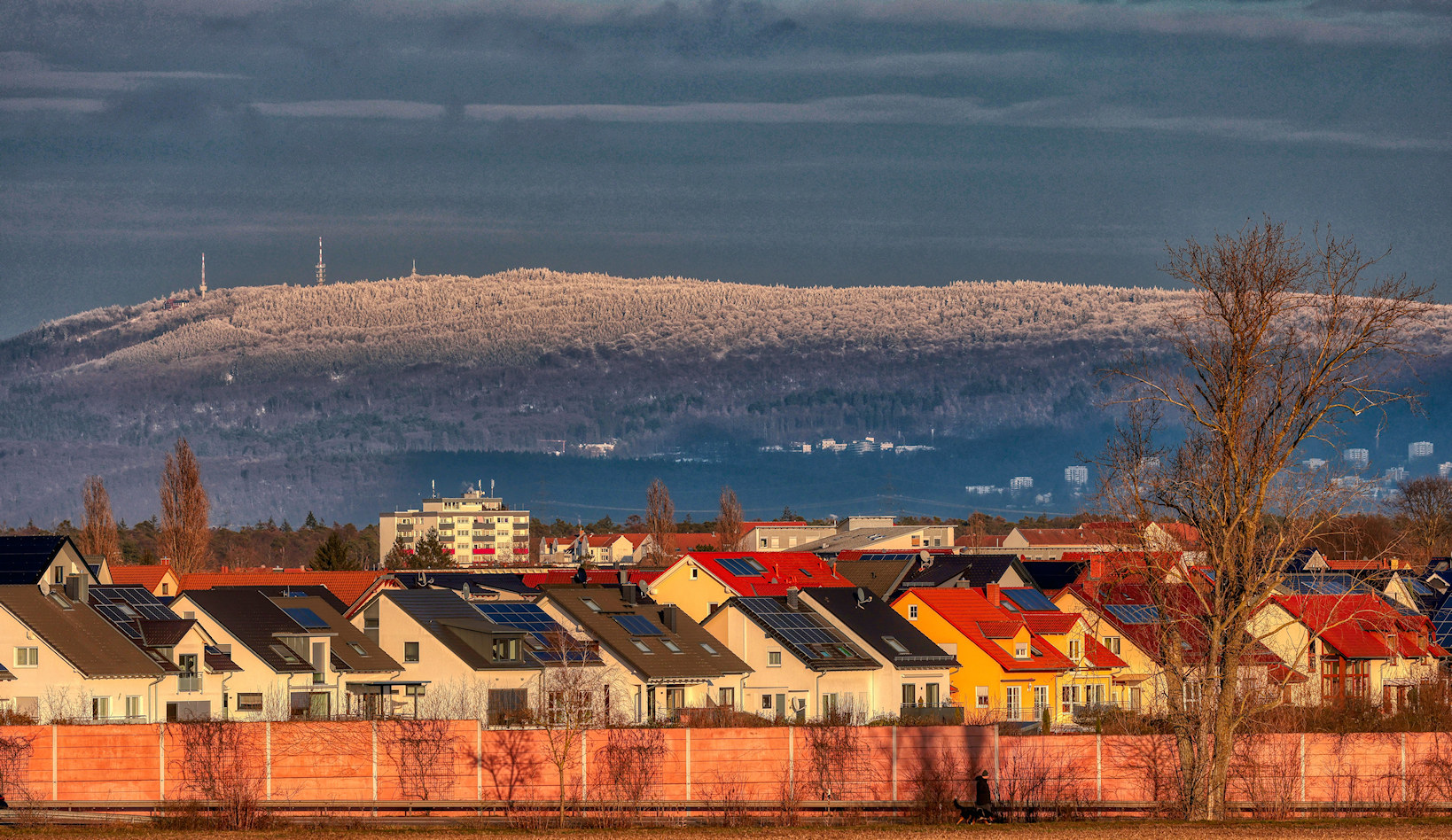 Sonne und Winterwald