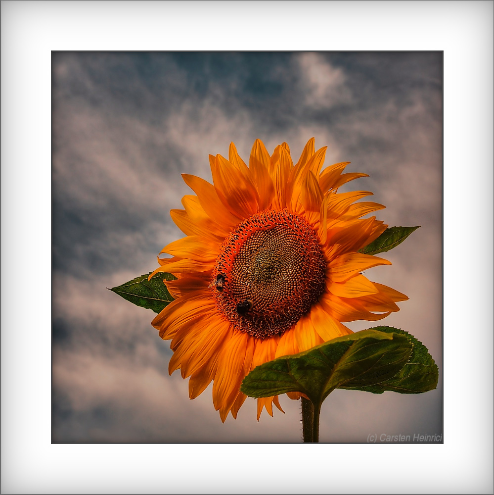 Sonne und Wolken