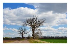 Sonne und Wolken ...