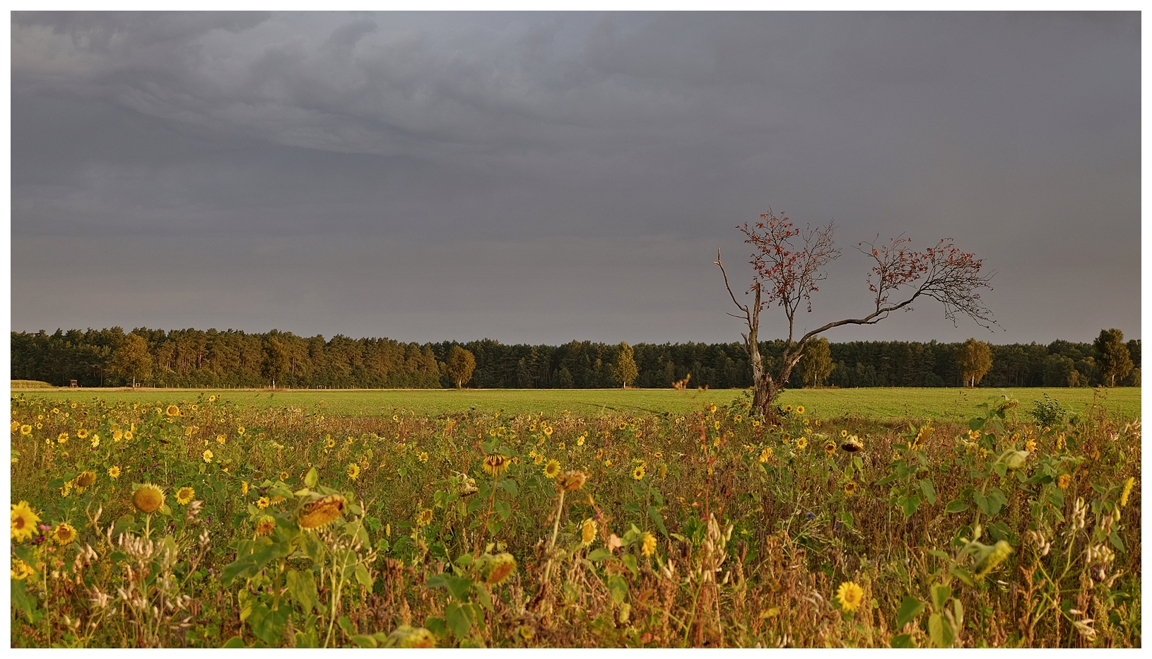 Sonne und Wolken