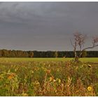 Sonne und Wolken