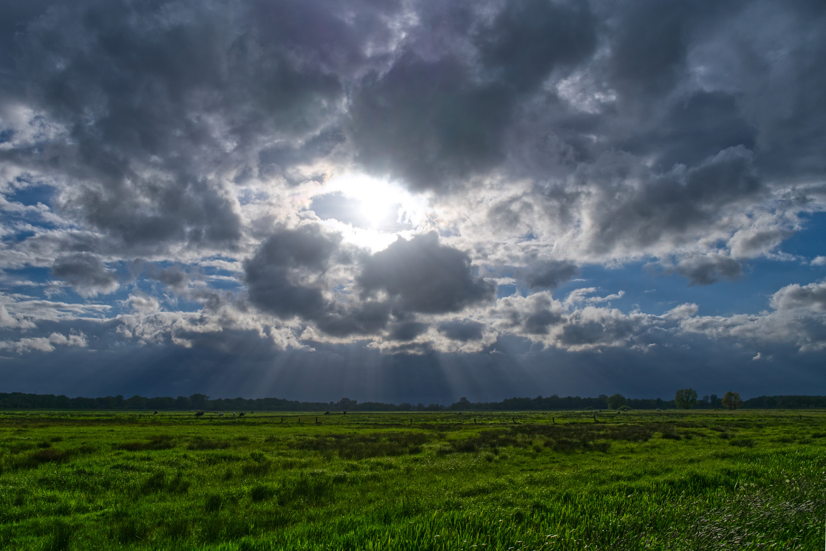 Sonne und Wolken über den Wümmewiesen