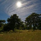 Sonne und Wolken über der Mainzer Steppe