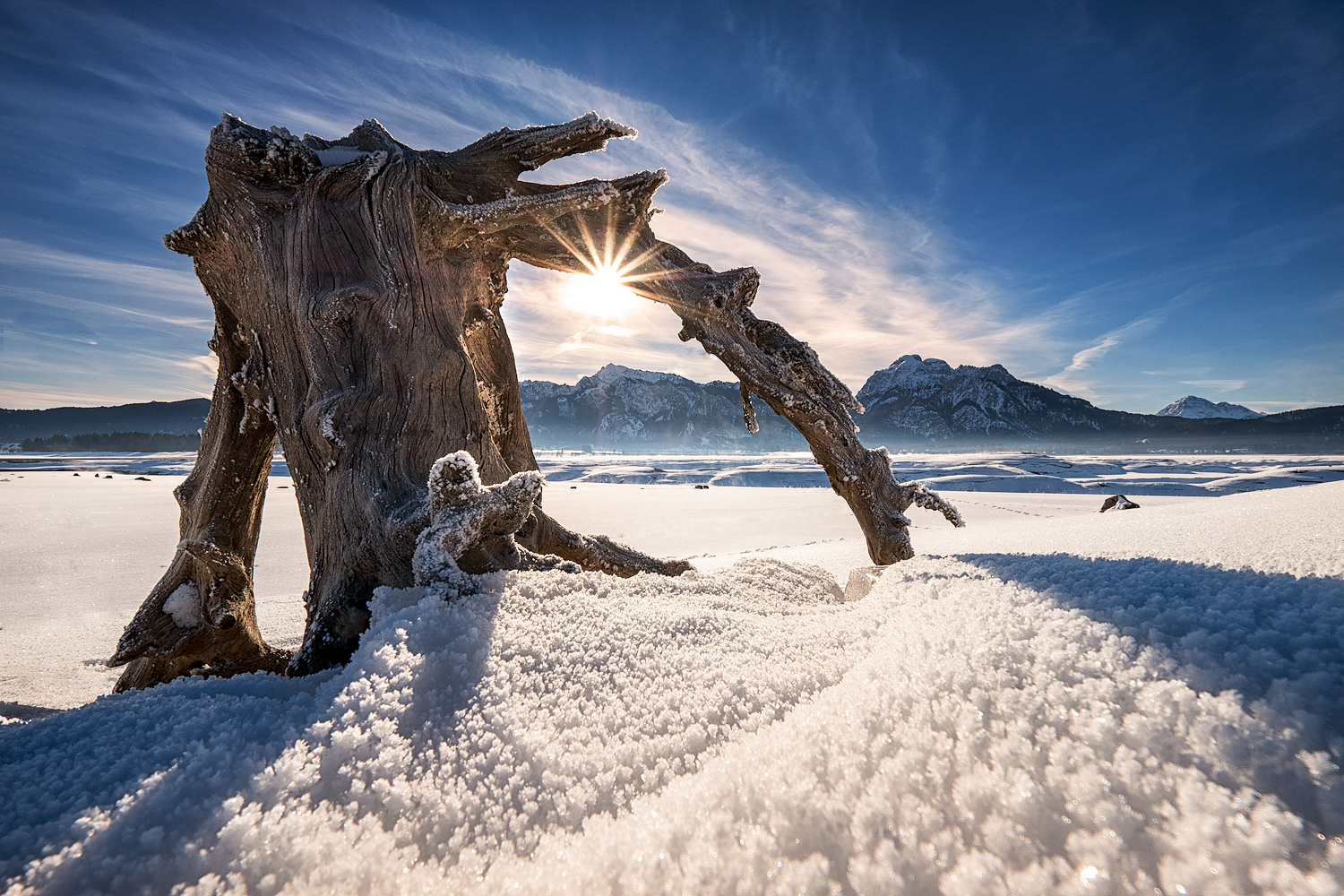 sonne unter der wurzel