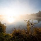 Sonne verdrängt Nebel am See