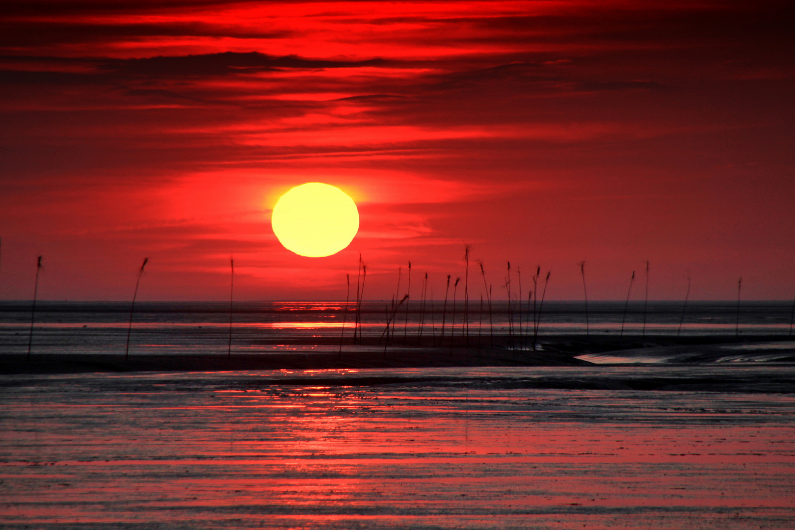 Sonne versinkt im Wattenmeer