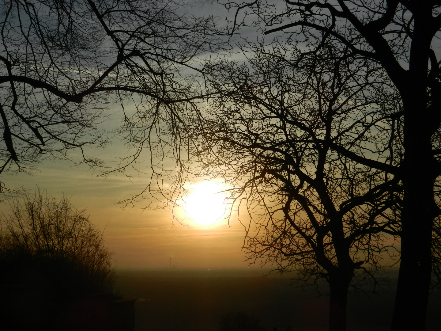 Sonne versteckt sich hinter Bäumen