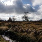 Sonne versus Wolken