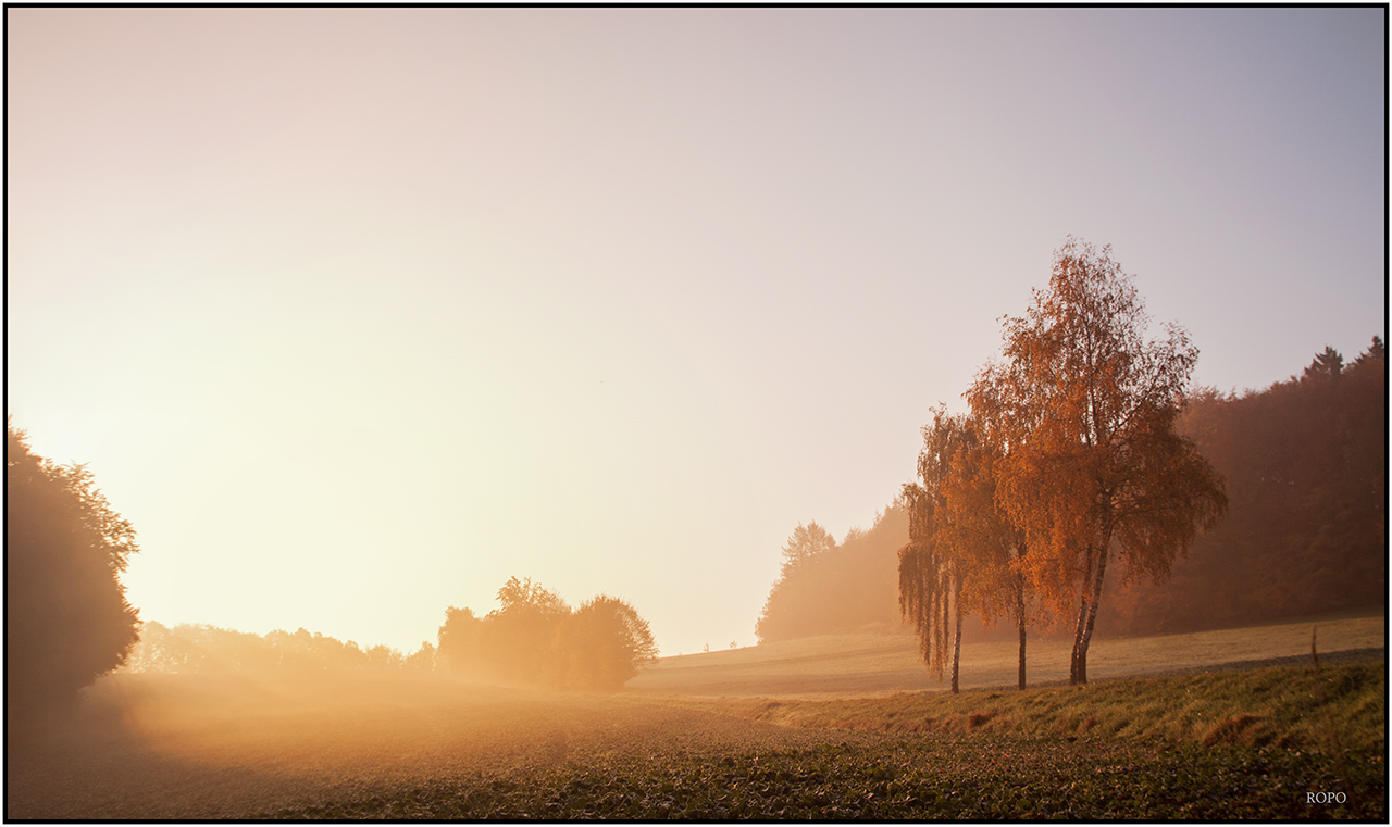 Sonne vertreibt den Nebel