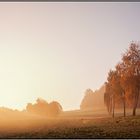 Sonne vertreibt den Nebel