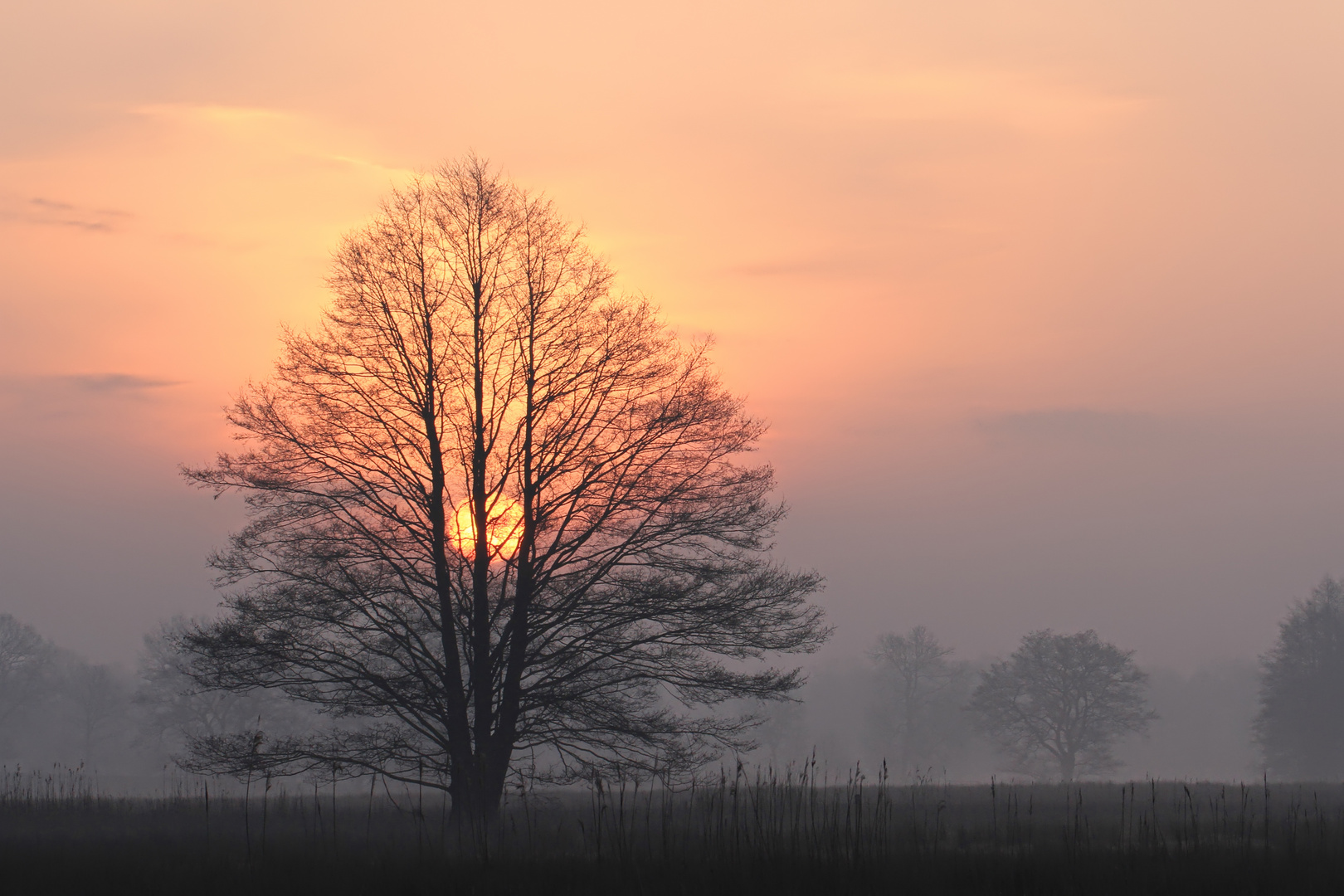 Sonne vertreibt Nebel