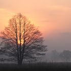 Sonne vertreibt Nebel