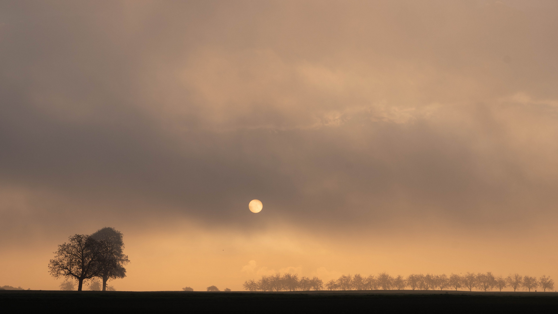 Sonne vertreibt Nebel