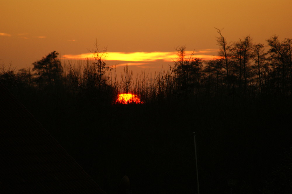 Sonne von Bäumen verschlungen