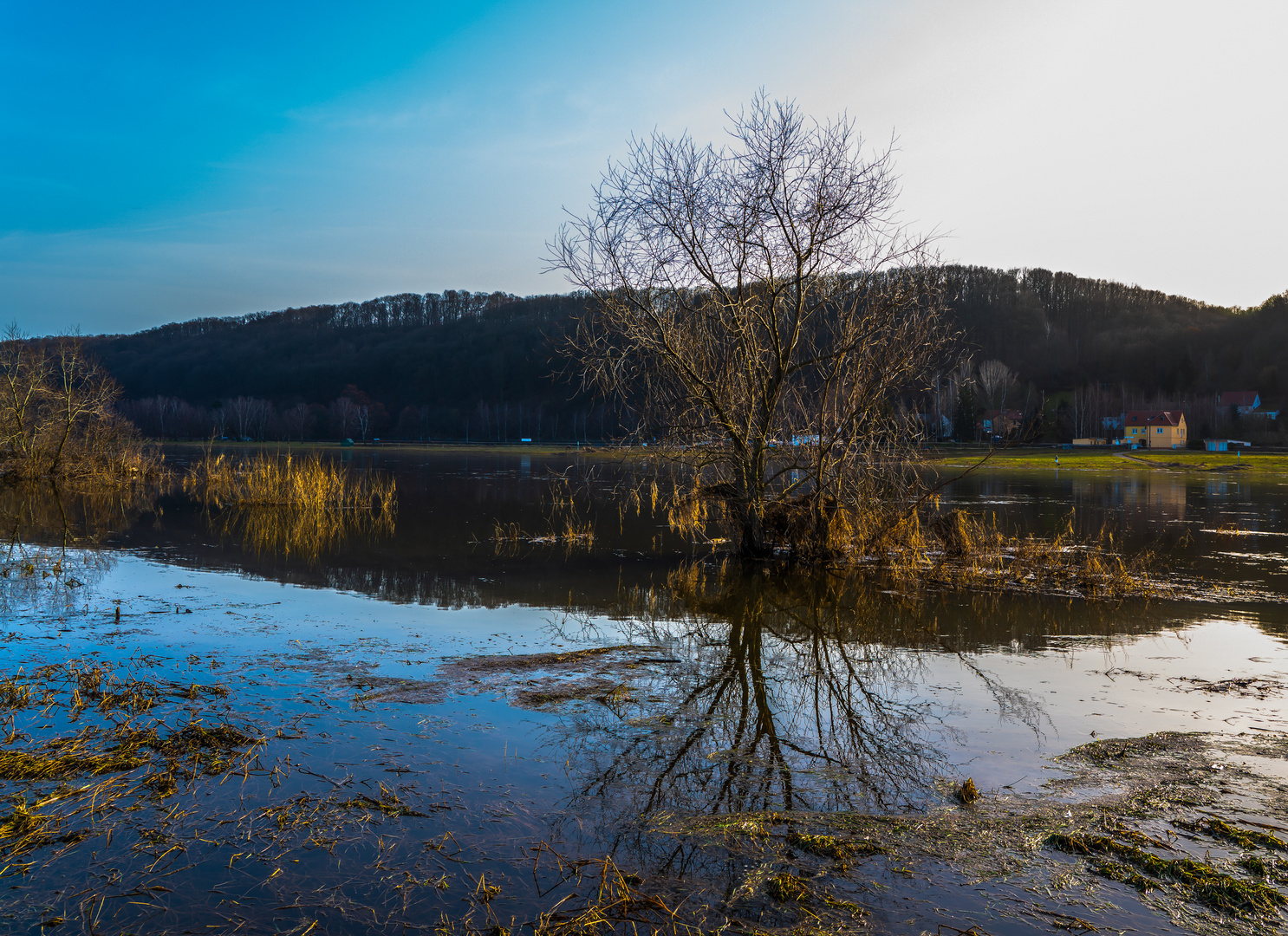 Sonne von Westen