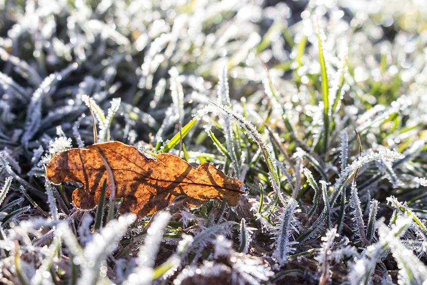 Sonne vs Frost