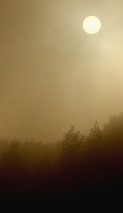 Sonne vs Nebel