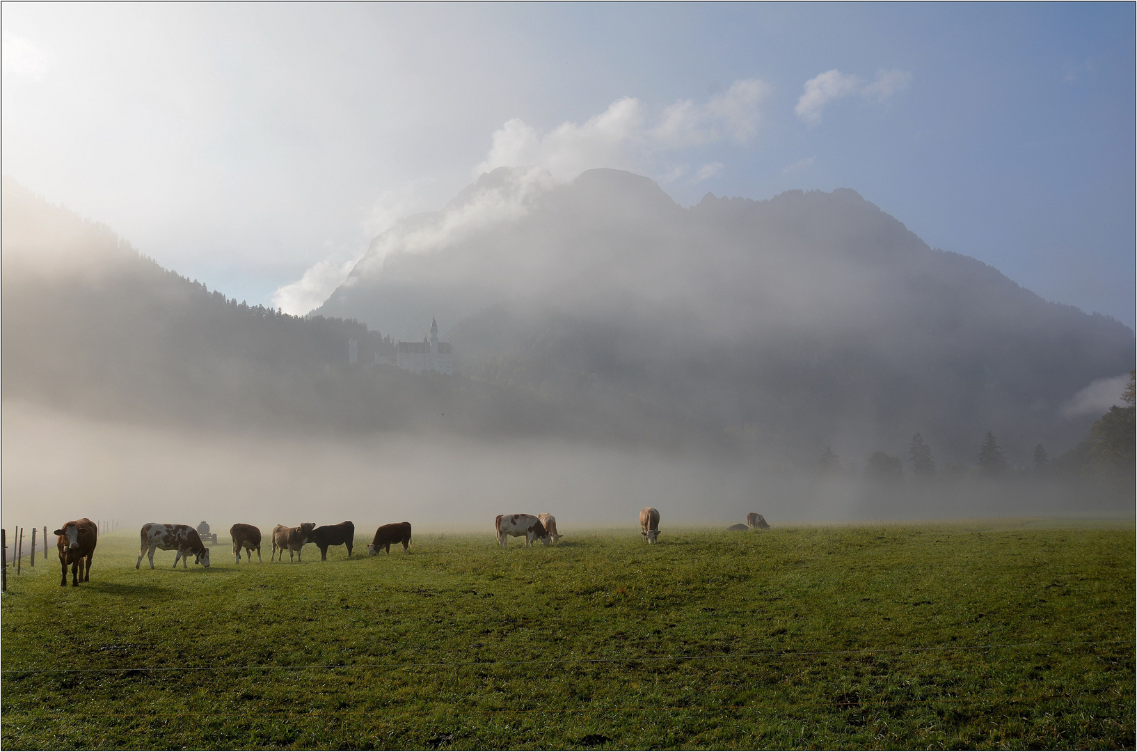 Sonne vs. Nebel