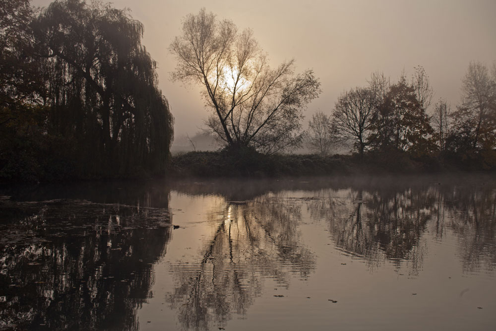 Sonne vs. Nebel