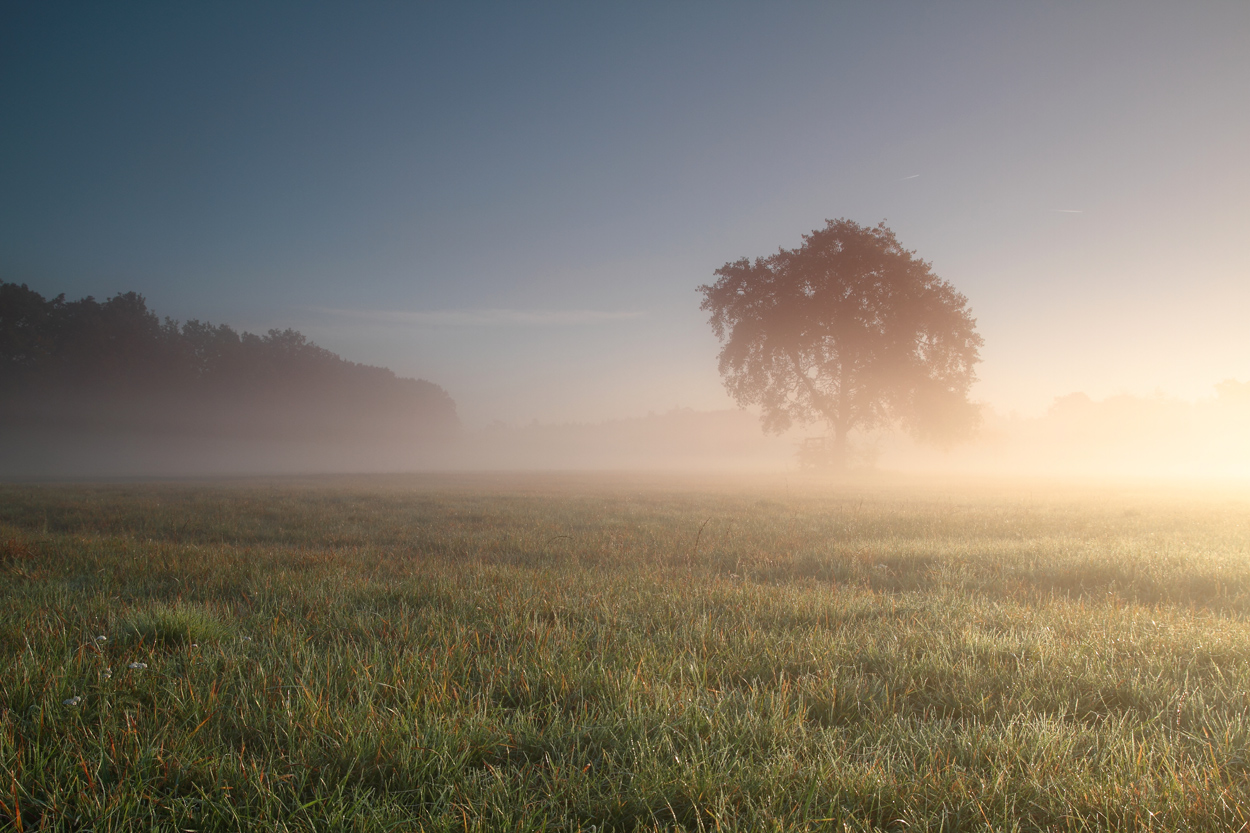 Sonne vs. Nebel