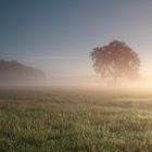 Sonne vs. Nebel