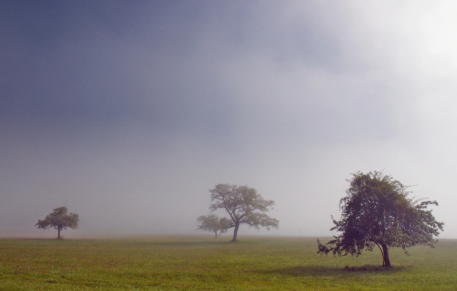 ~~~ SONNE vs NEBEL ~~~