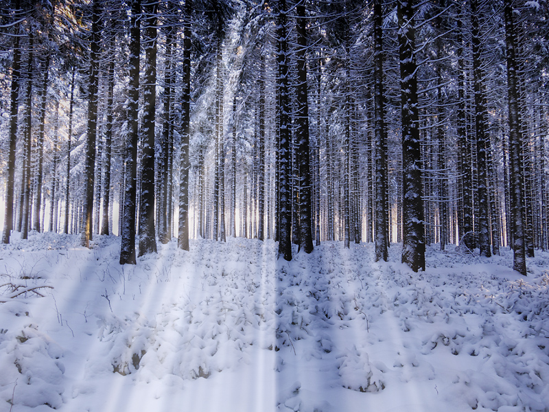 Sonne vs. Schnee