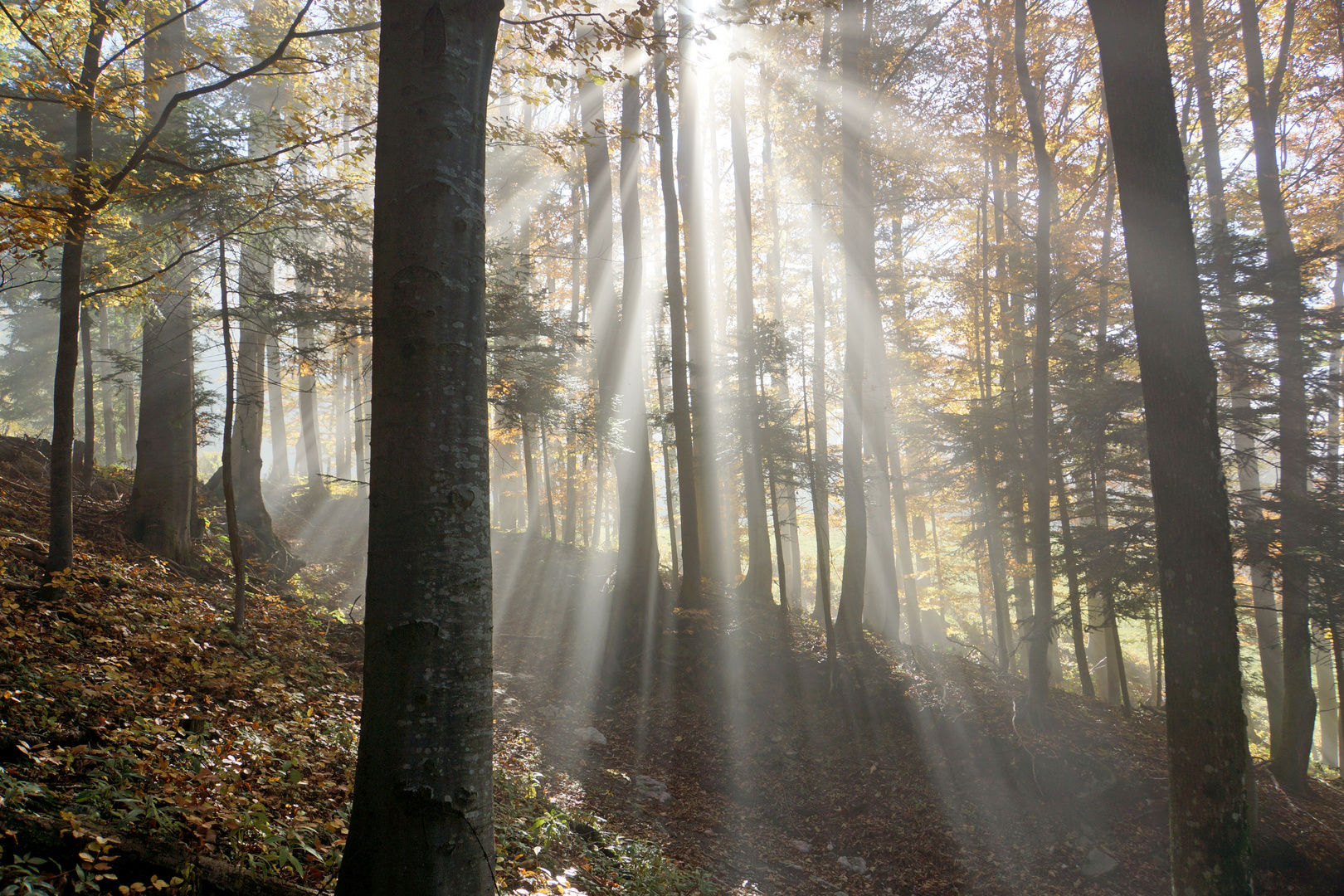 Sonne vs. Wolken