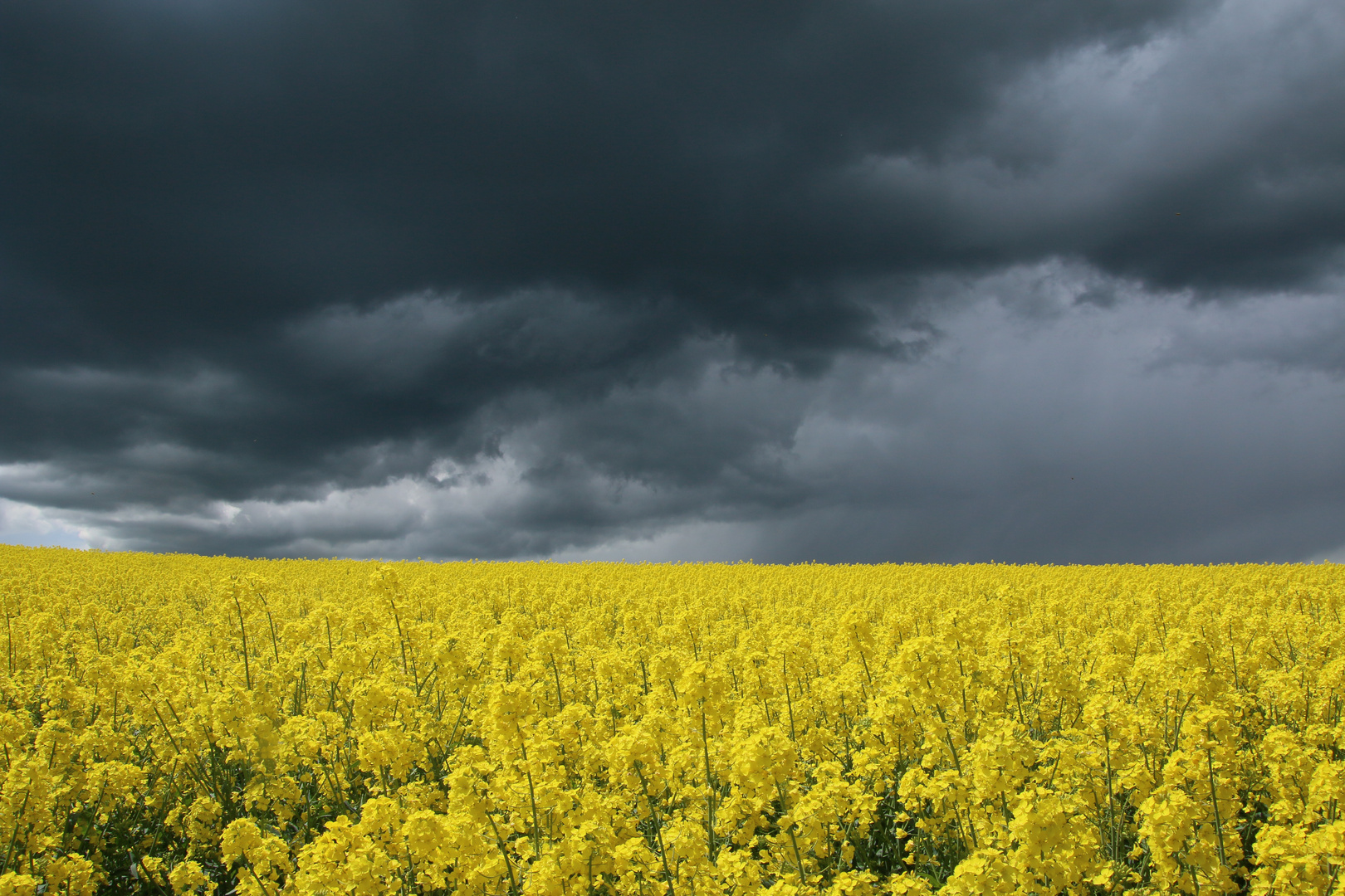 Sonne vs. Wolken