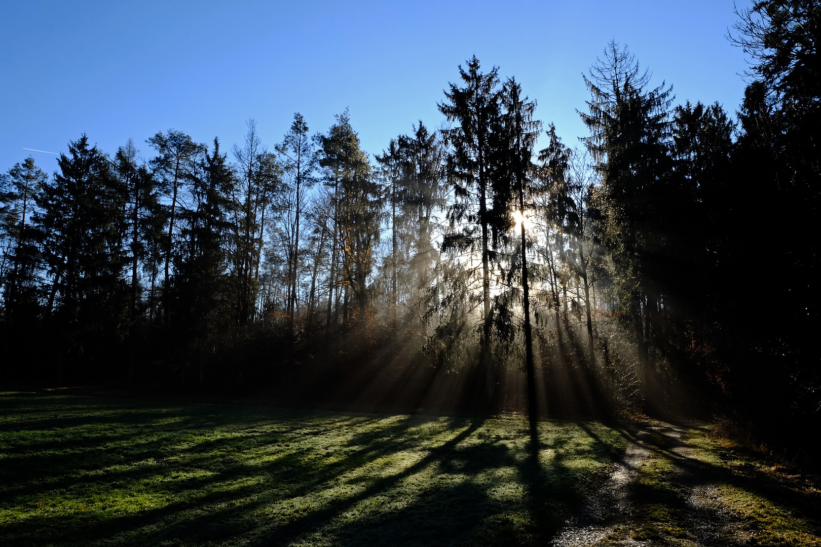 Sonne, Wald, Wiese, Himmel