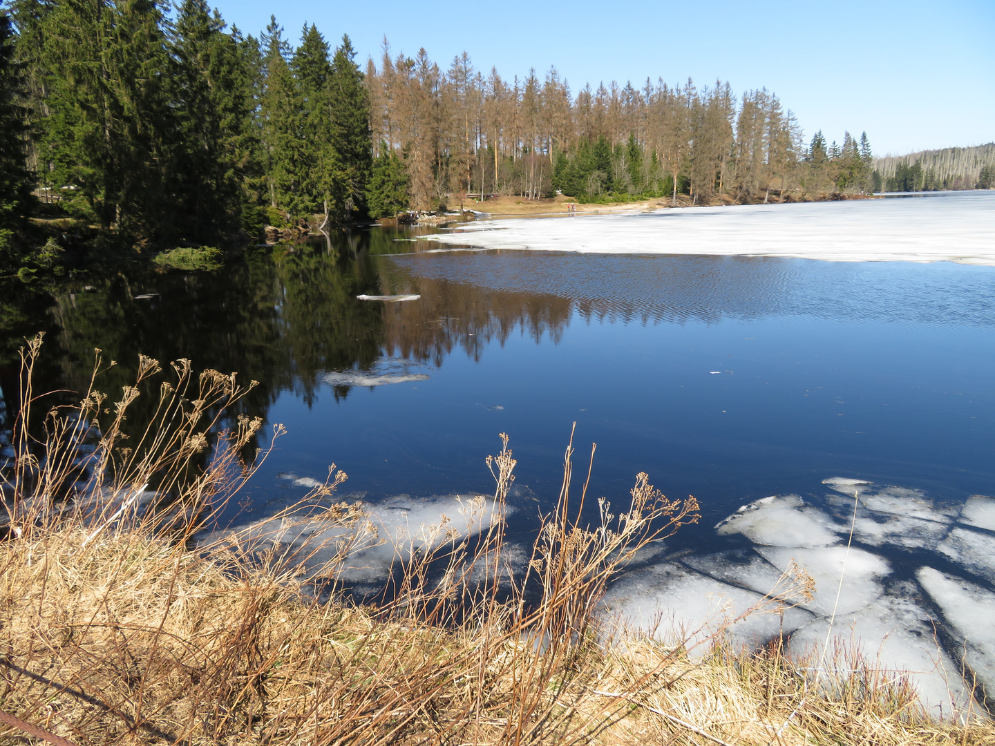 Sonne, warm, alles fängt an zu blühen aber immer noch Schnee und Eis