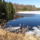 Sonne, warm, alles fängt an zu blühen aber immer noch Schnee und Eis