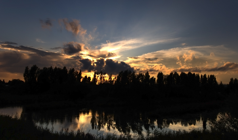 Sonne, Wasser, Bäume