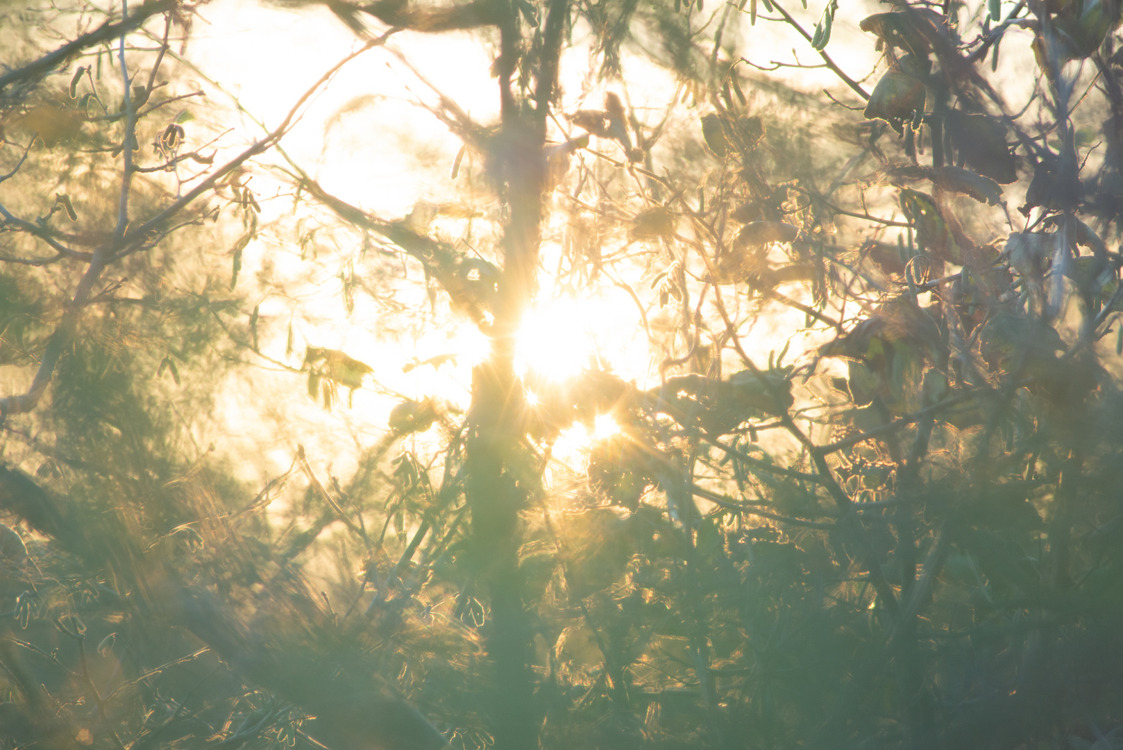 Sonne, Wasser und Gedanken