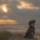 Sonne, Wasser, Wind