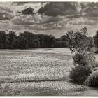 Sonne, Wasser, Wind und Wolken in SW