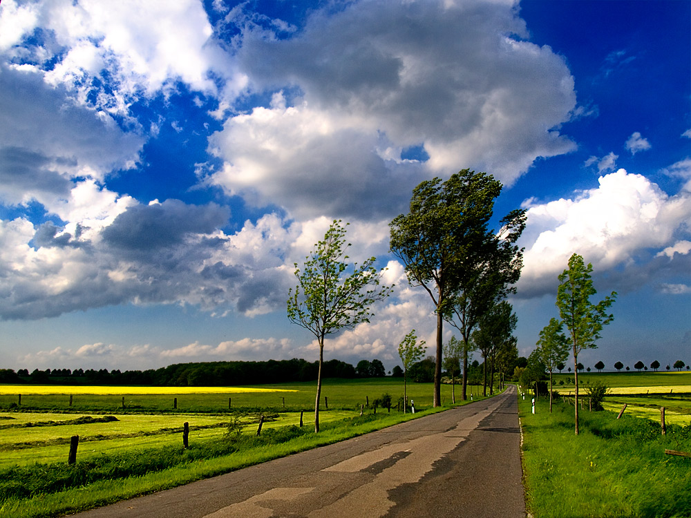 Sonne + Wind