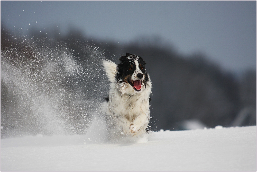 Sonne, Wind, Schnee...