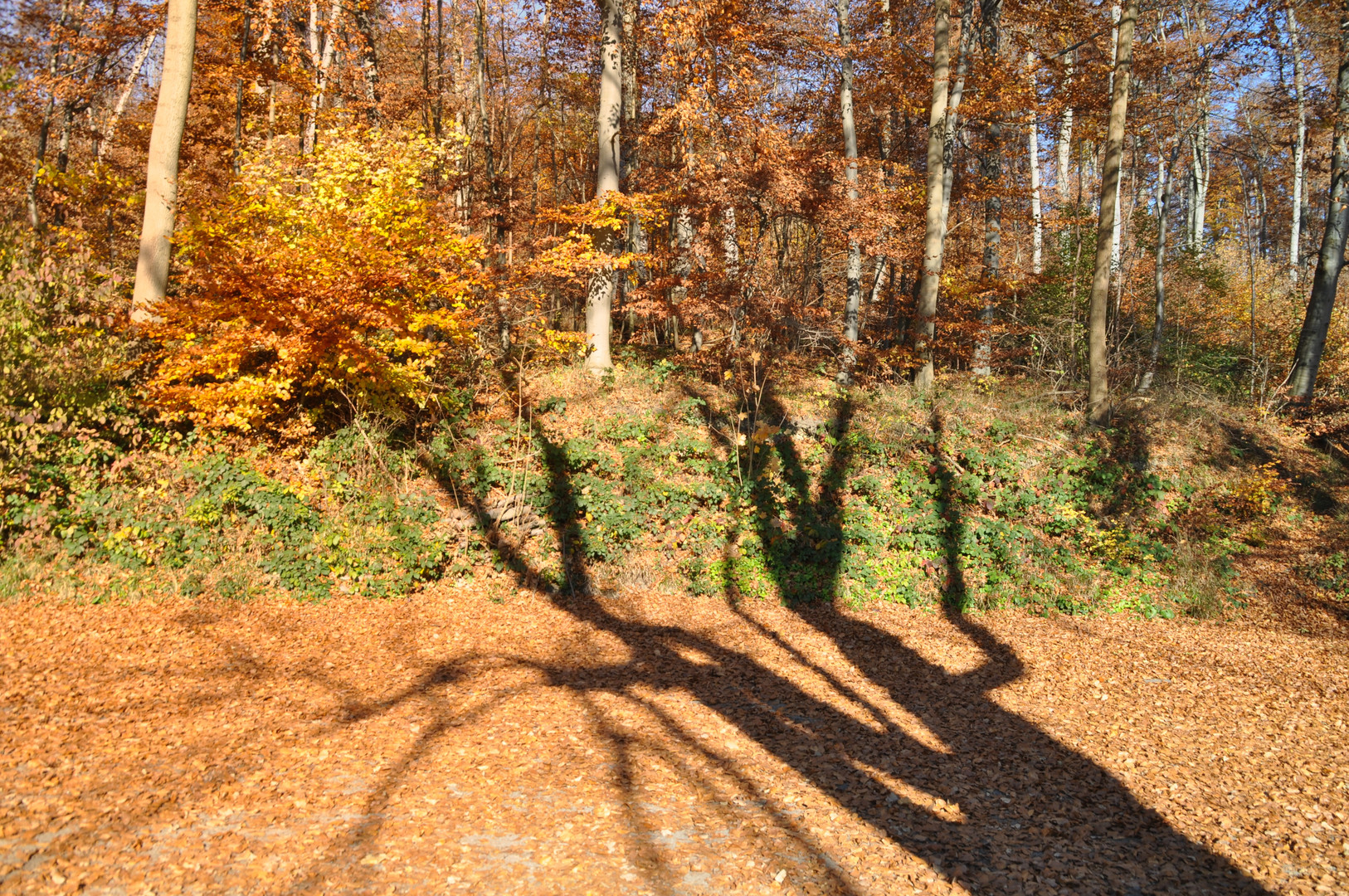 Sonne wirft Schatten